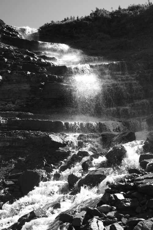 The cool of the summer...