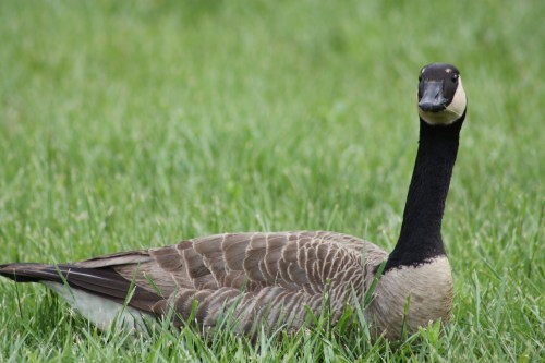 "are you going to make me move?"