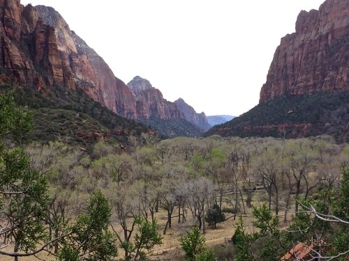 in Zion