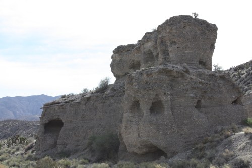 Fortress of the Birds