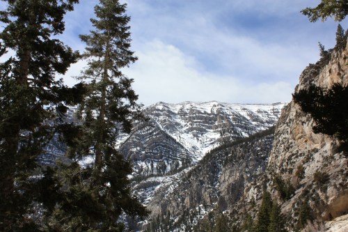 Mt. Charleston, Nevada