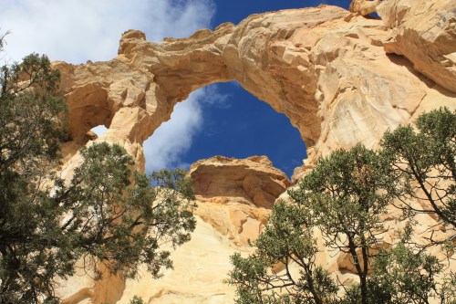 Blue Sky at the Arch