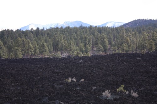 Lava fields - Sunset Crater