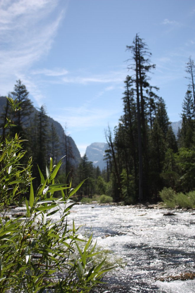 Cedar Grove in Kings Canyon