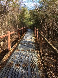 Boardwalk at Big Oak State Park