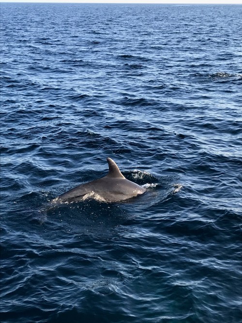 60359260414__A5996D21-49D7-4D73-9146-41D2D5F14A56